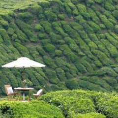 Отель Cameron Highlands Resort фото 6