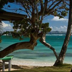 Отель Sugar Reef Bequia фото 2