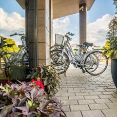 Comfort Hotel LT - Rock 'n' Roll Vilnius Вильнюс спортивное сооружение