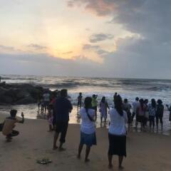Sylvester Villa Hostel Negombo пляж фото 2