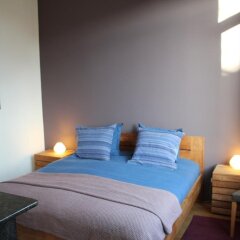 Отель B&B Le Verger Бельгия, Брюссель - отзывы, цены и фото номеров - забронировать отель B&B Le Verger онлайн комната для гостей фото 3