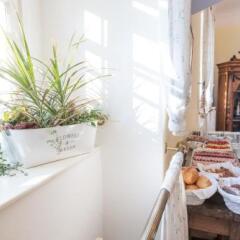 Отель Prague Loreta Residence Чехия, Прага - отзывы, цены и фото номеров - забронировать отель Prague Loreta Residence онлайн интерьер отеля