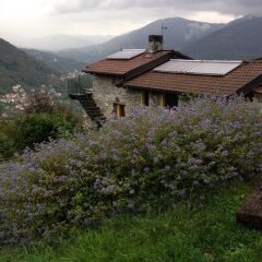 Гостевой Дом Agriturismo Al-Marnich Скиньяно фото 3