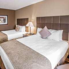 Отель Quality Inn & Suites Denver Stapleton комната для гостей фото 3