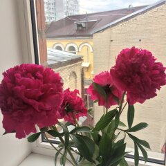 KARLOV MOST hostel балкон