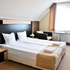 Olymp Hotel Банско комната для гостей фото 2