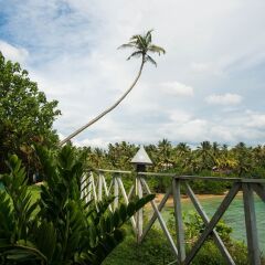 Отель Dinsara Pearl Villa фото 3