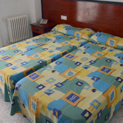 HSM Hotel Reina del Mar с домашними животными