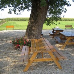 Отель Agriturismo Gallo Nero Италия, Лимена - отзывы, цены и фото номеров - забронировать отель Agriturismo Gallo Nero онлайн фото 2