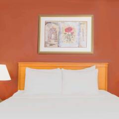 Отель Hawthorn Suites by Wyndham Airport East Hotel США, Колумбус - отзывы, цены и фото номеров - забронировать отель Hawthorn Suites by Wyndham Airport East Hotel онлайн комната для гостей