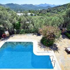 Villa Hera Турция, Патара - отзывы, цены и фото номеров - забронировать отель Villa Hera онлайн бассейн фото 2