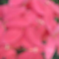 Отель De Vos - The Private Residence фото 7
