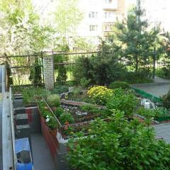 Гостиница Attic in Koenigsberg в Калининграде отзывы, цены и фото номеров - забронировать гостиницу Attic in Koenigsberg онлайн Калининград балкон