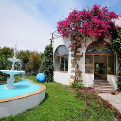 Отель Olive Farm Of Datca Guesthouse - Adults Only Датча фото 12