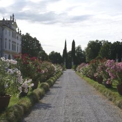 Отель Villa Ghislanzoni Италия, Виченца - отзывы, цены и фото номеров - забронировать отель Villa Ghislanzoni онлайн фото 27
