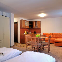 Отель Mountain Lodge Aparthotel Пампорово в номере