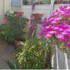 Отель Ambika B&B Италия, Лечче - отзывы, цены и фото номеров - забронировать отель Ambika B&B онлайн фото 2