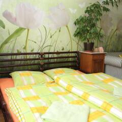 Отель Pension & Hostel Artharmony Чехия, Прага - 8 отзывов об отеле, цены и фото номеров - забронировать отель Pension & Hostel Artharmony онлайн питание