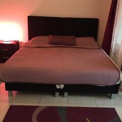 Отель B&B La Maison du Soleil Бельгия, Брюссель - отзывы, цены и фото номеров - забронировать отель B&B La Maison du Soleil онлайн комната для гостей фото 5