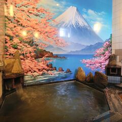 Отель Dormy Inn Soga Natural Hot Spring Тиба комната для гостей фото 3