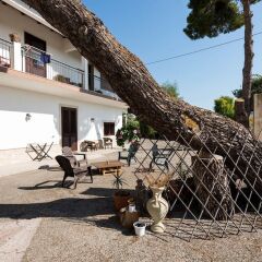 Отель B&B Villa Pia Сиракуза с домашними животными