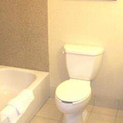 Отель Hilton Garden Inn Frederick ванная