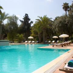 Отель Golden Tulip Farah Marrakech Марокко, Марракеш - 2 отзыва об отеле, цены и фото номеров - забронировать отель Golden Tulip Farah Marrakech онлайн бассейн