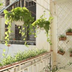 Отель Hanoi Vintage Homestay Ханой фото 7