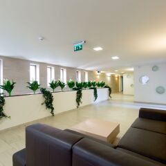 Отель Sun Resort Apartments Венгрия, Будапешт - 5 отзывов об отеле, цены и фото номеров - забронировать отель Sun Resort Apartments онлайн помещение для мероприятий фото 2