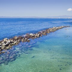 Отель Costa Sur Resort And Spa Пуэрто-Вальярта с домашними животными