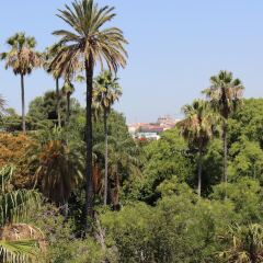 Отель Botanic Views Guest House Лиссабон фото 4