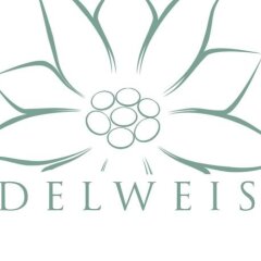 Отель Albergo Edelweiss Вилладоссола спортивное сооружение