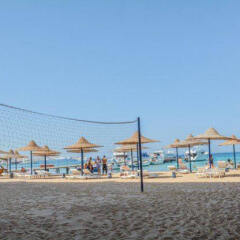 Отель Alia Beach Resort Египет, Хургада - отзывы, цены и фото номеров - забронировать отель Alia Beach Resort онлайн