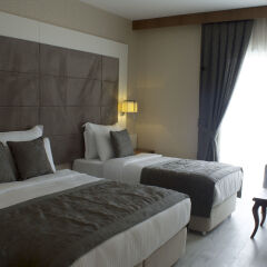 Elite Hotels Darica Spa & Convention Center Турция, Гебзе - отзывы, цены и фото номеров - забронировать отель Elite Hotels Darica Spa & Convention Center онлайн комната для гостей фото 5