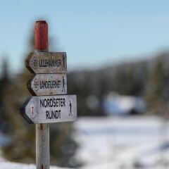 Отель Lillehammer Fjellstue с домашними животными