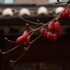 Отель The Place Seoul Hanok Guesthouse развлечения