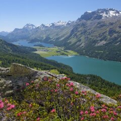 Отель Las Sours 1 St. Moritz Швейцария, Санкт-Мориц - отзывы, цены и фото номеров - забронировать отель Las Sours 1 St. Moritz онлайн приотельная территория