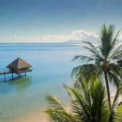 Отель Tahiti Ia Ora Beach Resort Managed By Sofitel Пунаауиа пляж фото 2