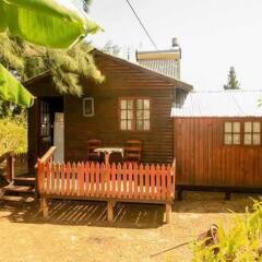 Отель Homestead B & B