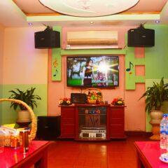 Central Hotel развлечения