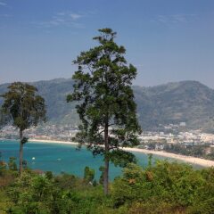 Отель Baan Yin Dee Boutique Resort Таиланд, Пхукет - отзывы, цены и фото номеров - забронировать отель Baan Yin Dee Boutique Resort онлайн фото 11