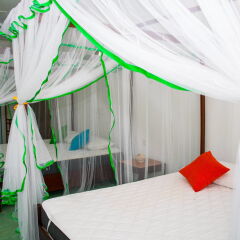 Отель FEEL Villa Шри-Ланка, Калутара - отзывы, цены и фото номеров - забронировать отель FEEL Villa онлайн фото 4
