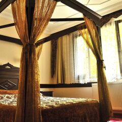 Alp Guesthouse Турция, Стамбул - отзывы, цены и фото номеров - забронировать отель Alp Guesthouse онлайн комната для гостей фото 4