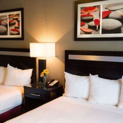 Отель Americas Best Value Inn And Suites США, Лос-Анджелес - отзывы, цены и фото номеров - забронировать отель Americas Best Value Inn And Suites онлайн фото 8