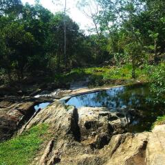 Отель Nature Village Matugama бассейн