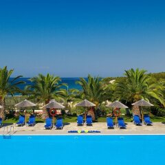 Blue Dolphin Hotel бассейн фото 3