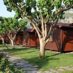 Ozge Hotel Bungalow Кемер детские мероприятия
