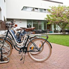 Гостиница Butik Hotel 12 в Зеленоградске отзывы, цены и фото номеров - забронировать гостиницу Butik Hotel 12 онлайн Зеленоградск спортивное сооружение