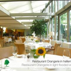 Отель Engimatt City & Garden Hotel Швейцария, Цюрих - 2 отзыва об отеле, цены и фото номеров - забронировать отель Engimatt City & Garden Hotel онлайн питание фото 3
