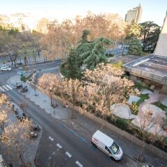 Отель Petit Palace President Castellana Испания, Мадрид - 1 отзыв об отеле, цены и фото номеров - забронировать отель Petit Palace President Castellana онлайн фото 4